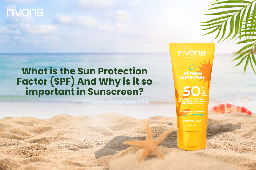 What is the Sun Protection Factor (SPF), and Why Is It So Important In Sunscreen?