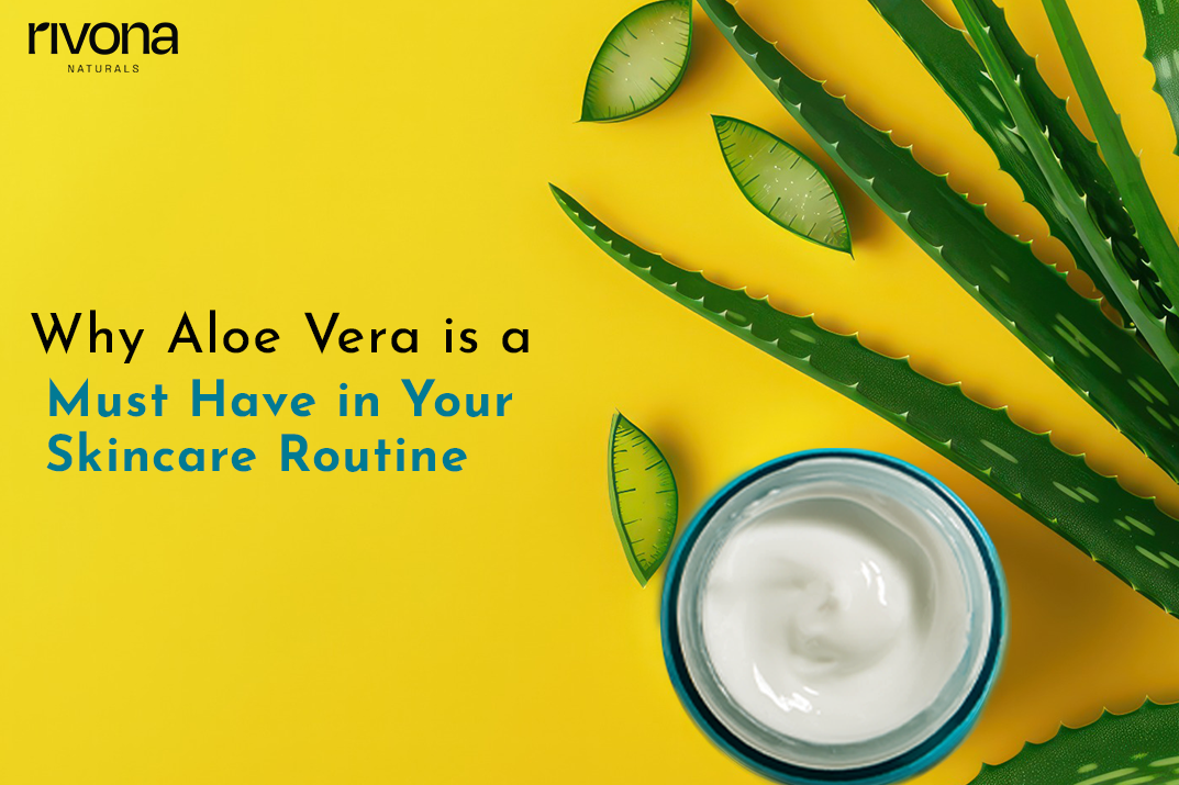 Aloe Vera: The Dermatologist in a Bottle!