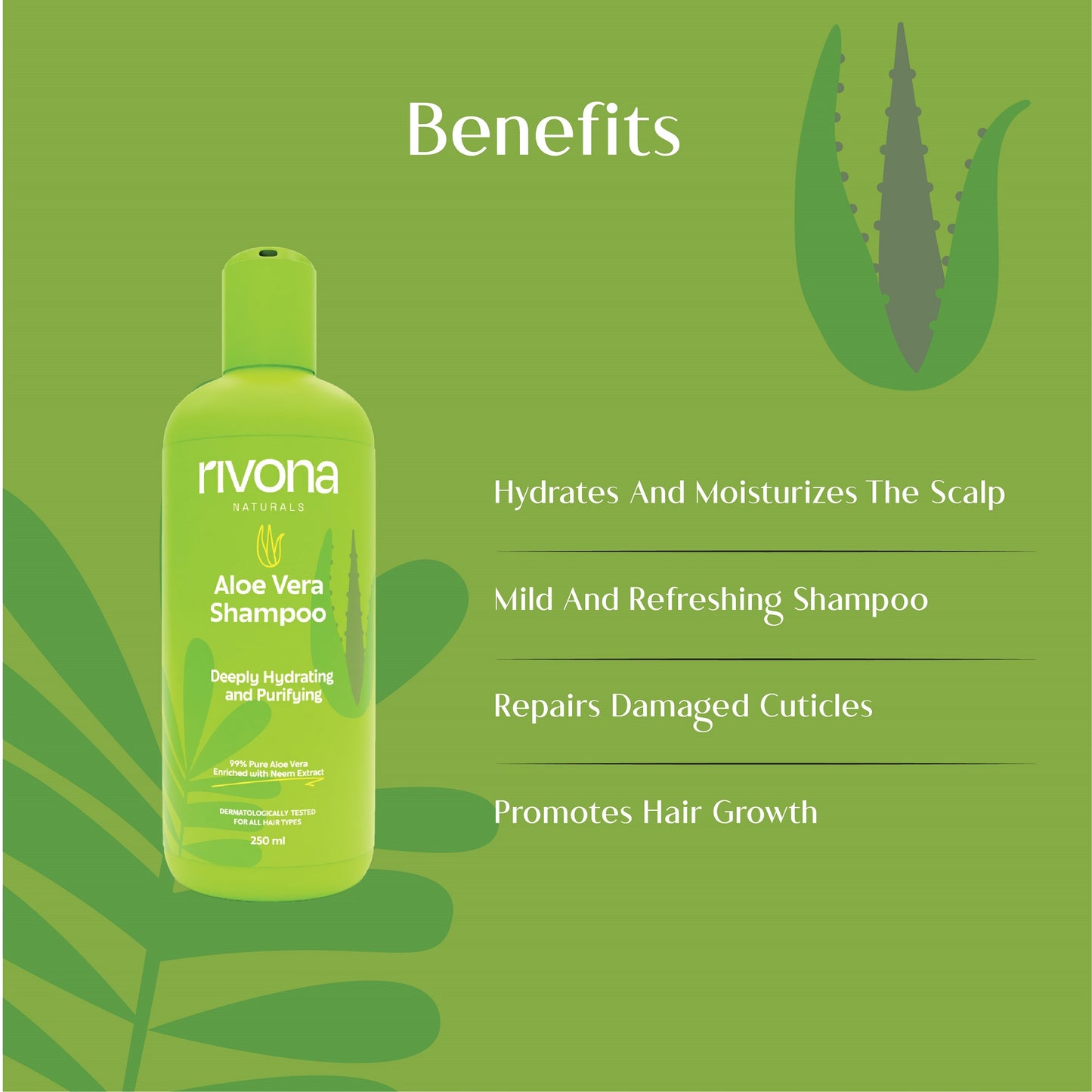 Pure Aloe Vera Shampoo With Natural Neem and Chamomile for Hydrated, Frizz Free Hair - 250ml